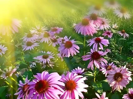 Infinite I Am Love: Reversing The Toxic Patterning Of Separation, Fear, And Unworthiness