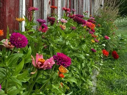 Infinite Possibilities Meditation