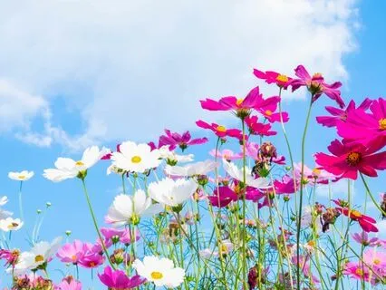 Infinite Possibilities