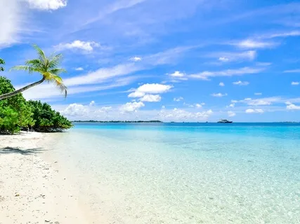 Infinite Prosperity Of Universe 888Hz