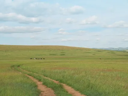 Infinite Spacious Awareness