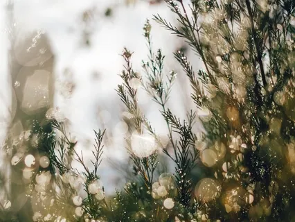 Infinite Wind Mandala