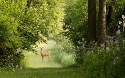 Information Creates Overwhelm