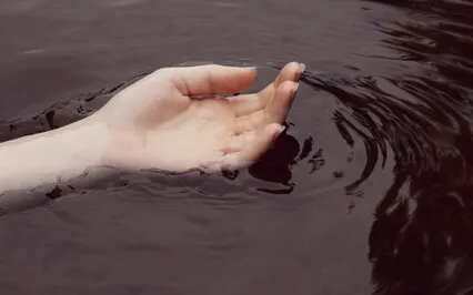 Inhabiting The Body As Matter, Energy, And Consciousness