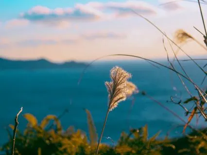 Inhale • 12 Hour Meditative Soundscape