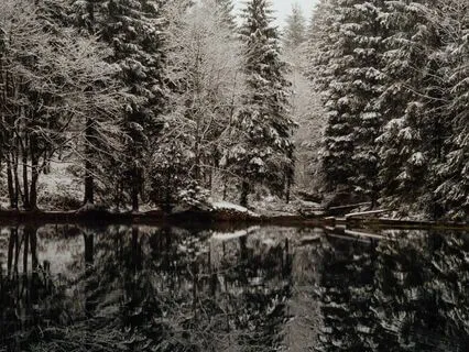 Inhale Calm, Exhale Stress: A Calming Reset