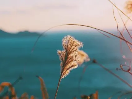 Inhale • Meditative Atmospheric Soundscape