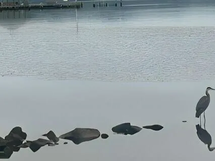 Inhale Your Desires; Exhale That Which You Wish To Release