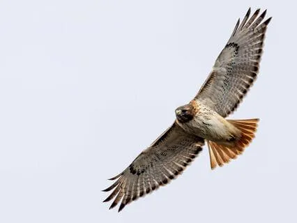 Ink Of Ash: A Poem For Healing From Grief