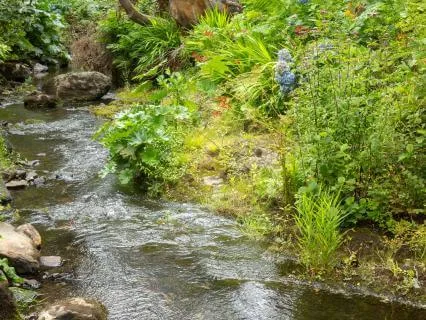Inland Stream Meditation - 6-Minute Recharge