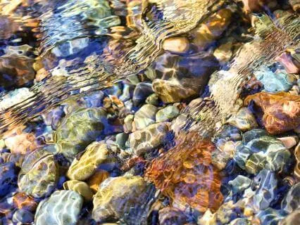 Inner Alchemy ~ Restorative Music & Nature Sound Experience