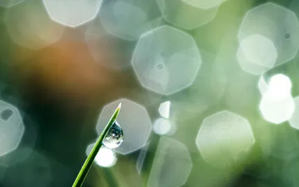 Inner Alchemy • Connect With Your Own Healing Frequency