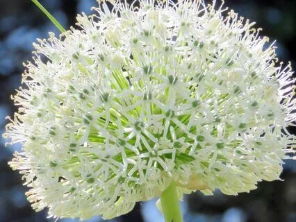 Inner Beliefs Meditation - Doing Vs Being