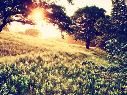 Inner Bliss (528 Hz - Insight Piano Meditation Session 4)