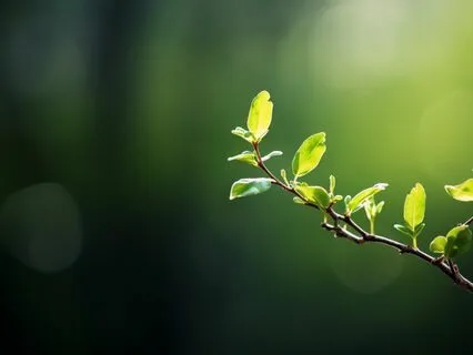 Inner Body Awareness - Guided Meditation