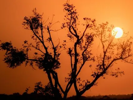 Inner Child – A Yoga Nidra Meditation