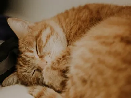 Inner Child Affirmations