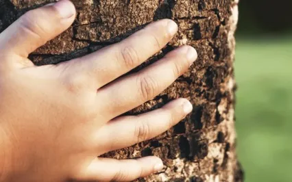 Inner Child Energy Healing