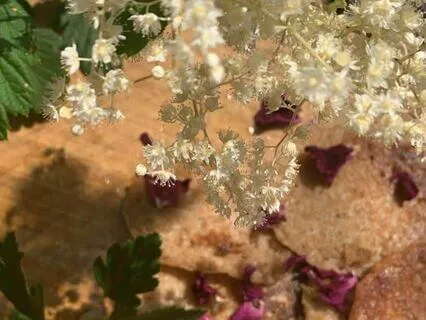 Connect With Your Inner Child