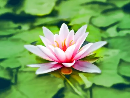 Inner Child Healing Meditation