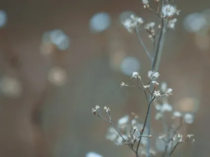 Inner Child Healing Journey - Part 2