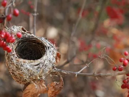 Inner Child Healing – Re-Mothering & Forgiveness