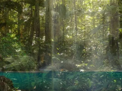 Inner Child / Inner Mother Meditation