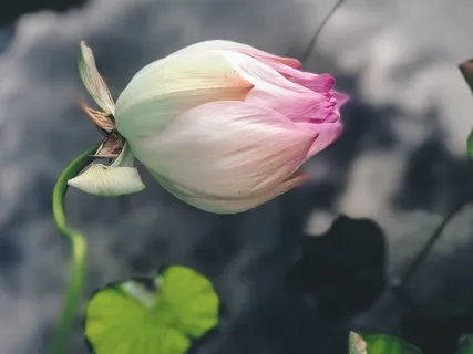 Inner Child Meditation