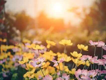 Inner Child Meditation