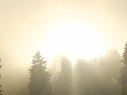 Inner Child Meditation