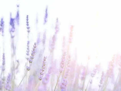 Inner Child Meditation