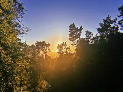 Inner Child Meditation