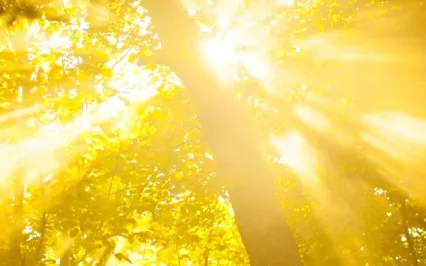 Inner Child Protection Guided Meditation