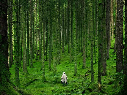 Inner Child Shamanic Journey 