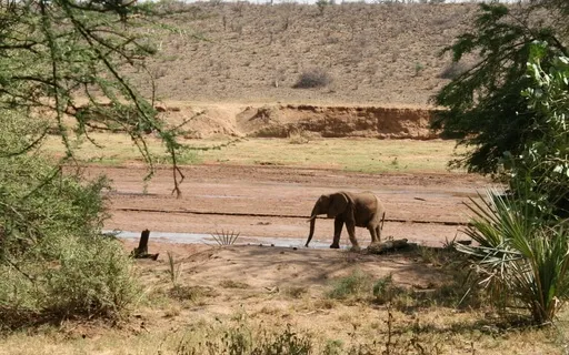 Inner Child Visualization - Limiting Beliefs – Long Version