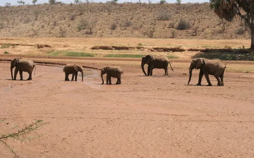 Inner Child Visualization - Limiting Beliefs – No Intro