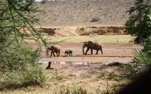 Inner Child Visualization - Limiting Beliefs - No Music