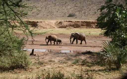 Inner Child Visualization - Limiting Beliefs - With Music