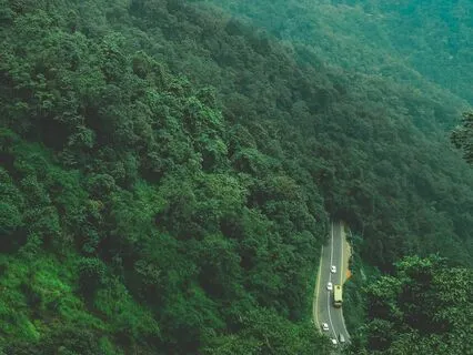 Inner Clarity - Focus Symphony