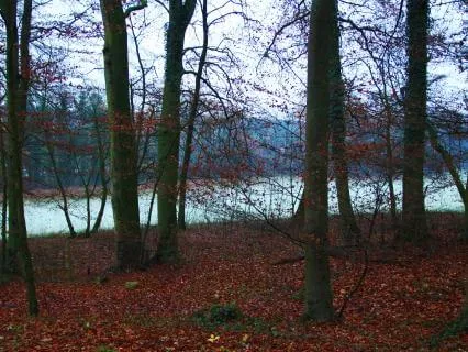 Inner Clarity Meditation With Harp, Rainstick & Guitar