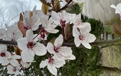 Inner Coach - ‘You Got This!’