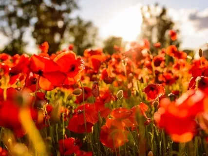 Inner Consciousness Practice For Guidance, Clarity And Self-Confidence