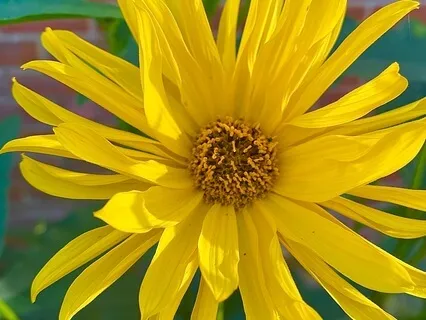 Inner Consciousness Meditation: Third Eye, 5th Dimension