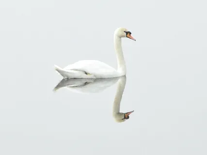 Inner Critic Attack - S.O.S.