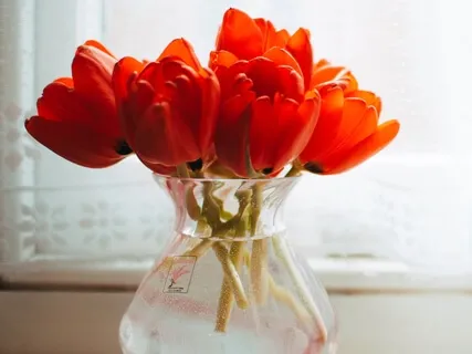 Inner Critic Meditation #4