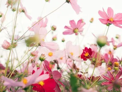 Relationship Shame Spiral: Self-Compassion & Relief