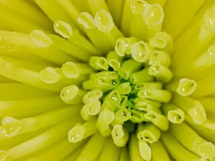 Inner Depth (Music For Focus And Relaxation)