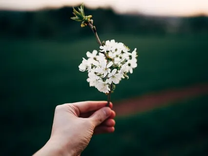 Discover Your Inner Flower & Slow Down