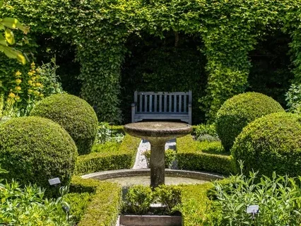 Inner Garden: Mediation For Aligned Growth