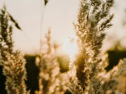 Inner Glow Up | Breathing & Meditation | 17-Mins